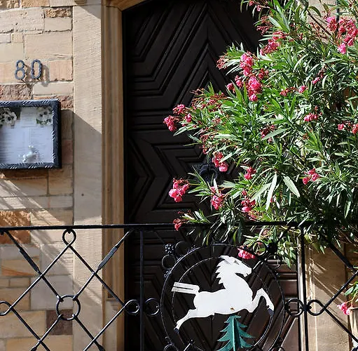 호텔 Weinkastell Zum Weissen Ross 3*